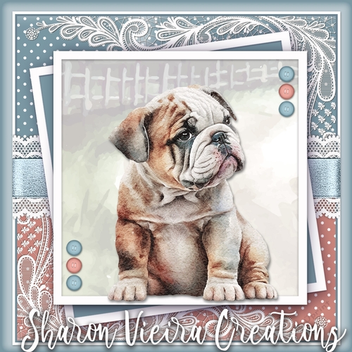 The Cute Bulldog KIT Two 