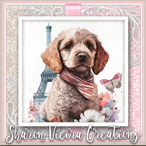 The Parisian Animal KIT THREE 