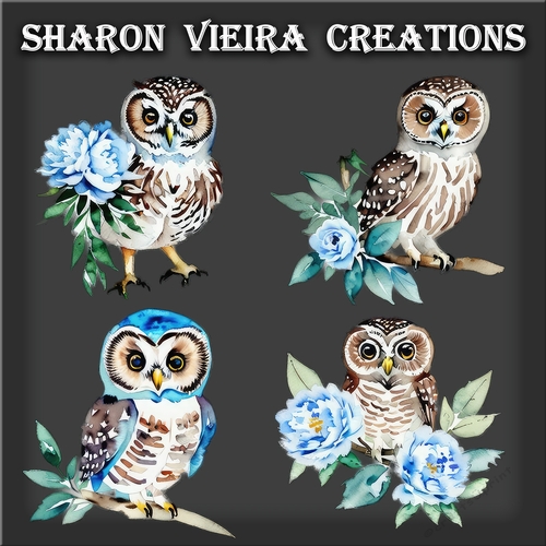 watercolour owls and  blue Peonies
