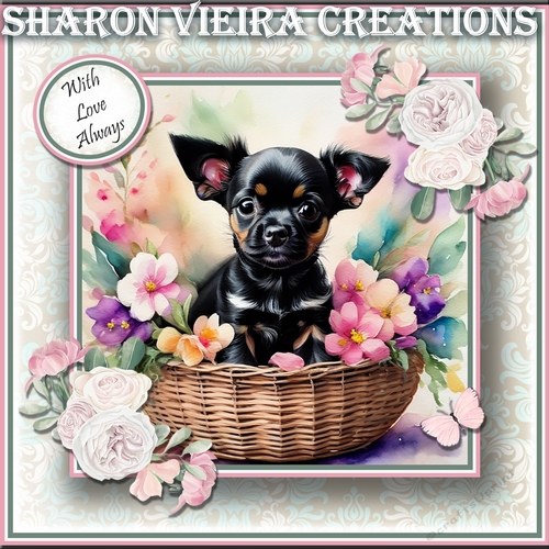Puppy In a Basket 6