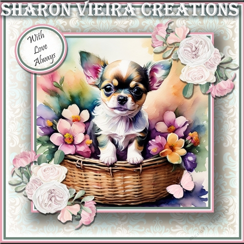 Puppy In a Basket 7