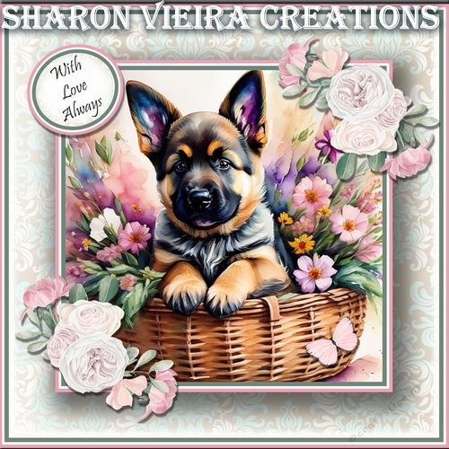 Puppy In a Basket 8