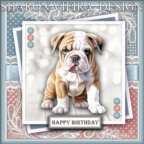 Birthday Bulldog 