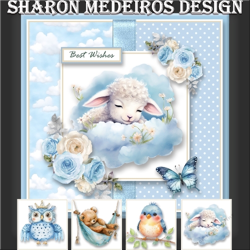 New Baby, Birthday or Get well topper  kit 