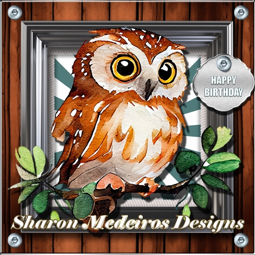 The Wood Owl three 
