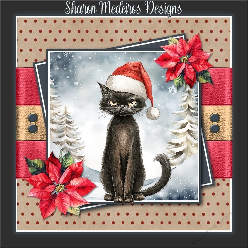 Christmas cat 