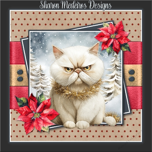 Christmas cat 2
