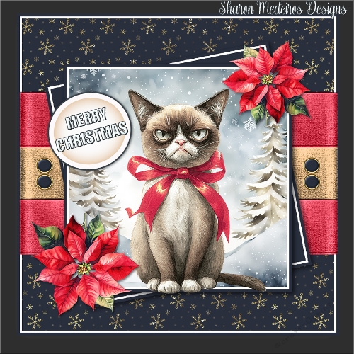 cup1394102_2357 - Jolly Christmas cat 1 