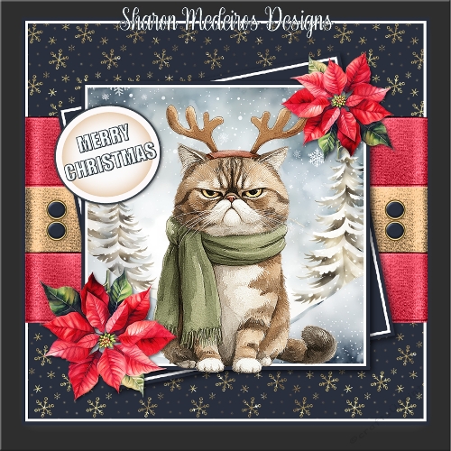 Jolly Christmas cat 2