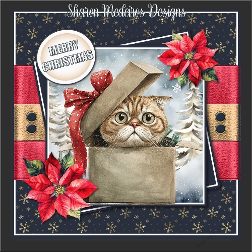 Jolly Christmas cat 3