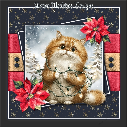 cup1394105_2357 - Jolly Christmas cat 4