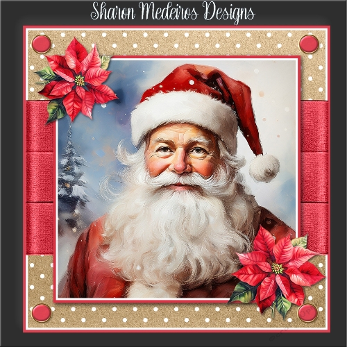 Vintage Santa 