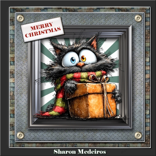Christmas Cat 