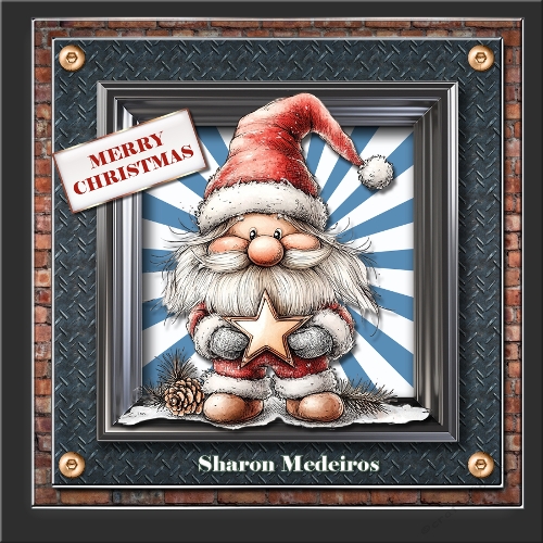 Santas Shining star