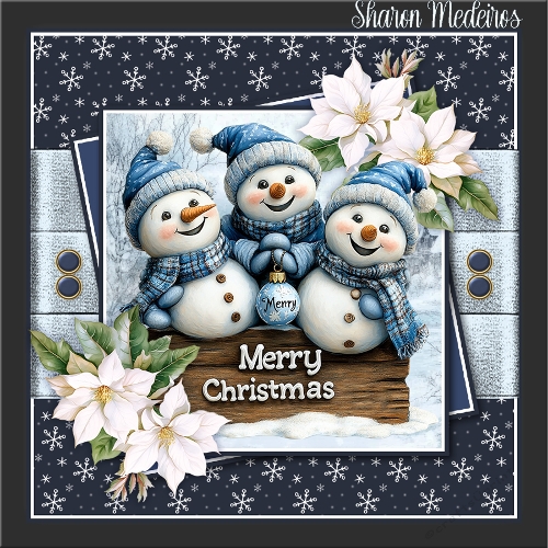 cup1406946_2357 - Merry Christmas Bears