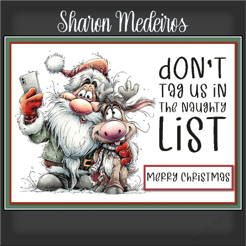 the naughty List 