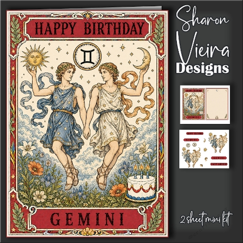 Gemini  mini kit 