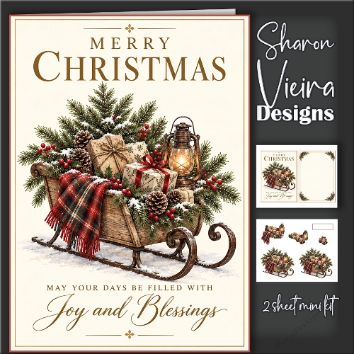 Christmas Joy and Blessings 