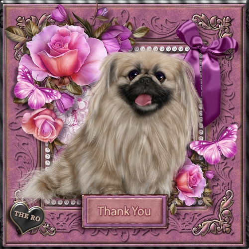 Flowers and Furs 6