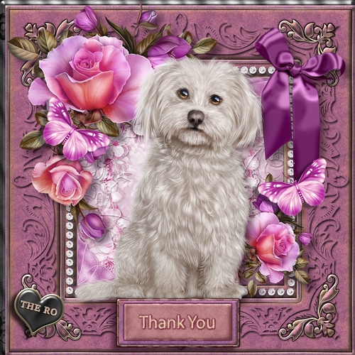 Flowers and Furs 7