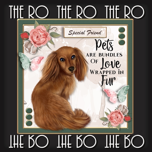 I Love Pets 1