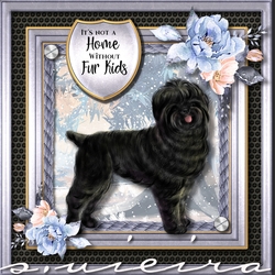 Furkids 1