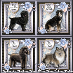 Furkids BUMPER