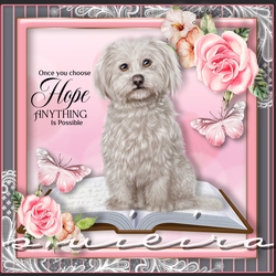 Hope 3