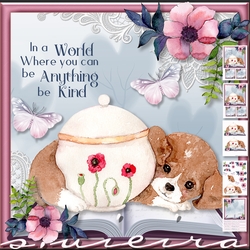 Kindness 3