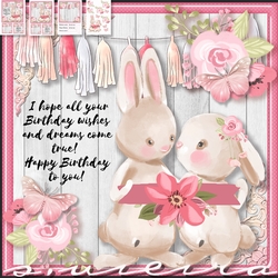 Birthday Bunny 3