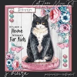 Cat Love 4