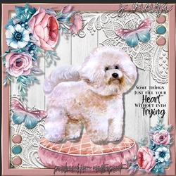 Puppy Love 5