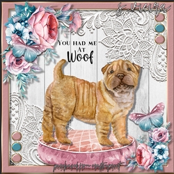 Puppy Love 6 