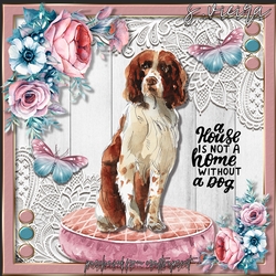 Puppy Love 7