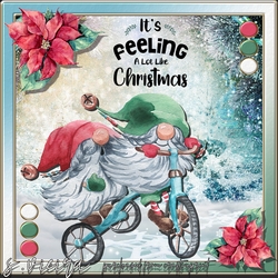 Christmas Gnomes 2