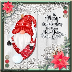 Christmas Gnomes 2 