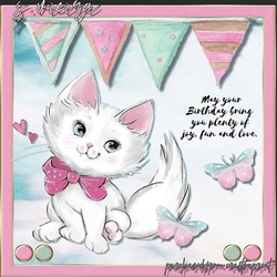 Birthday Dreams 4