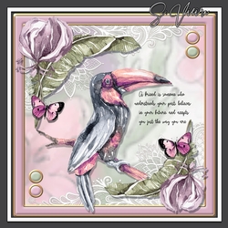 Tropical Birds FOUR
