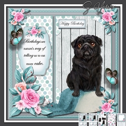 Pug
