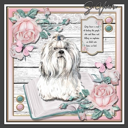 Puppy Love 6