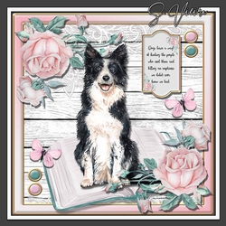 Puppy Love 7