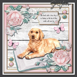 Puppy Love 8