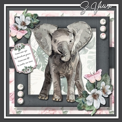 Beautiful Elephant One 