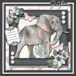 Beautiful Elephant THREE