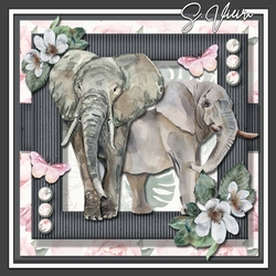 Beautiful Elephant FOUR