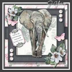 Beautiful Elephant FIVE 