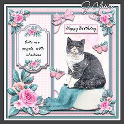 Cat Loving THREE