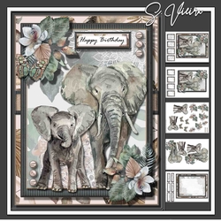 Tropical Wild 6x8 Kit 5
