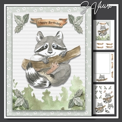 Little Raccoon 6x8