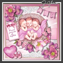 Triplets Request Kit